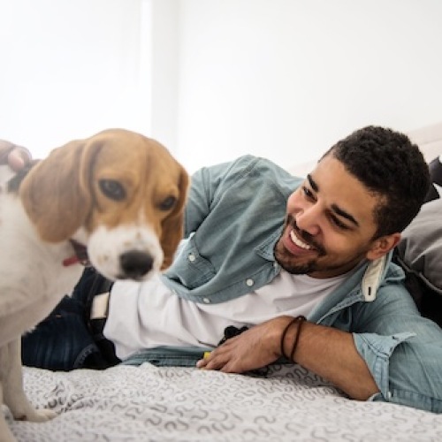 a man and his dog